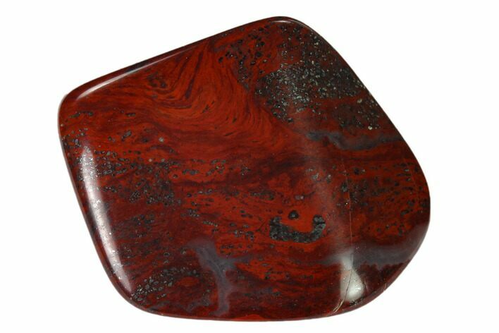 Polished Stromatolite (Collenia) - Minnesota #136907